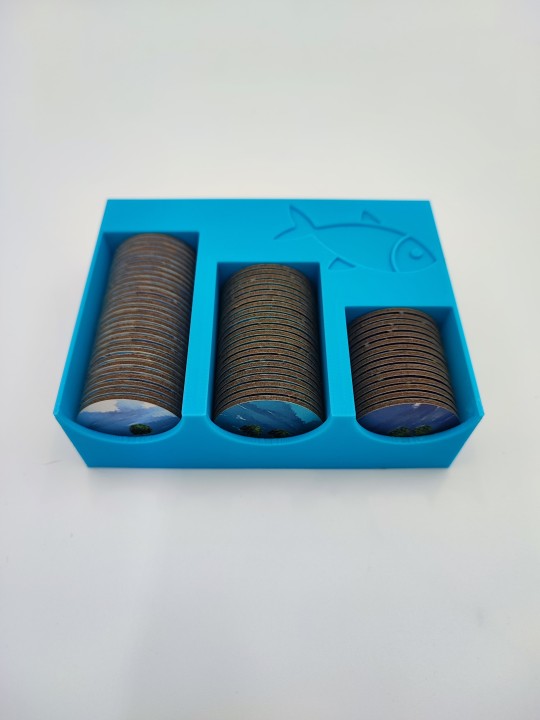 Insert do gry planszowej Saltfjord