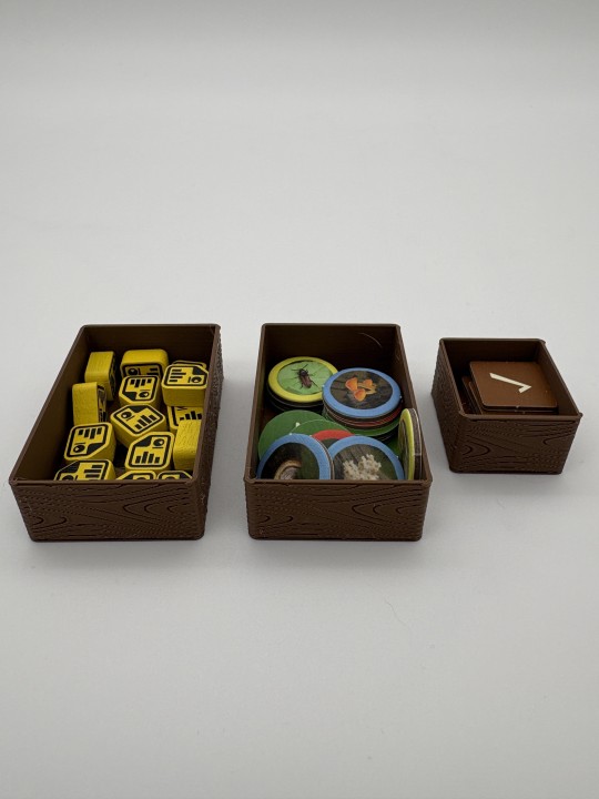 Insert do gry Forestry