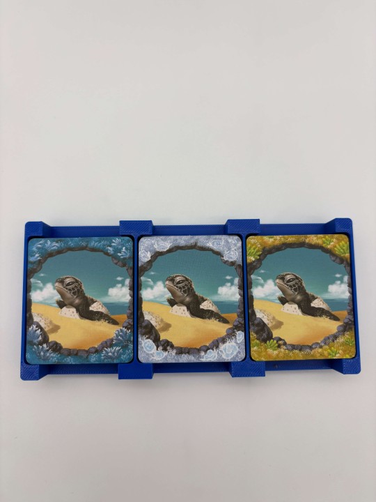 Insert do gry planszowej Shallow Sea z dodatkiem Sezon lęgowy oraz Rzadkie ryby, druk 3d